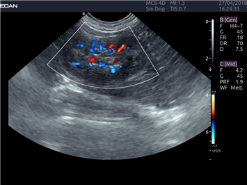 EDAN Acclarix LX4 VET